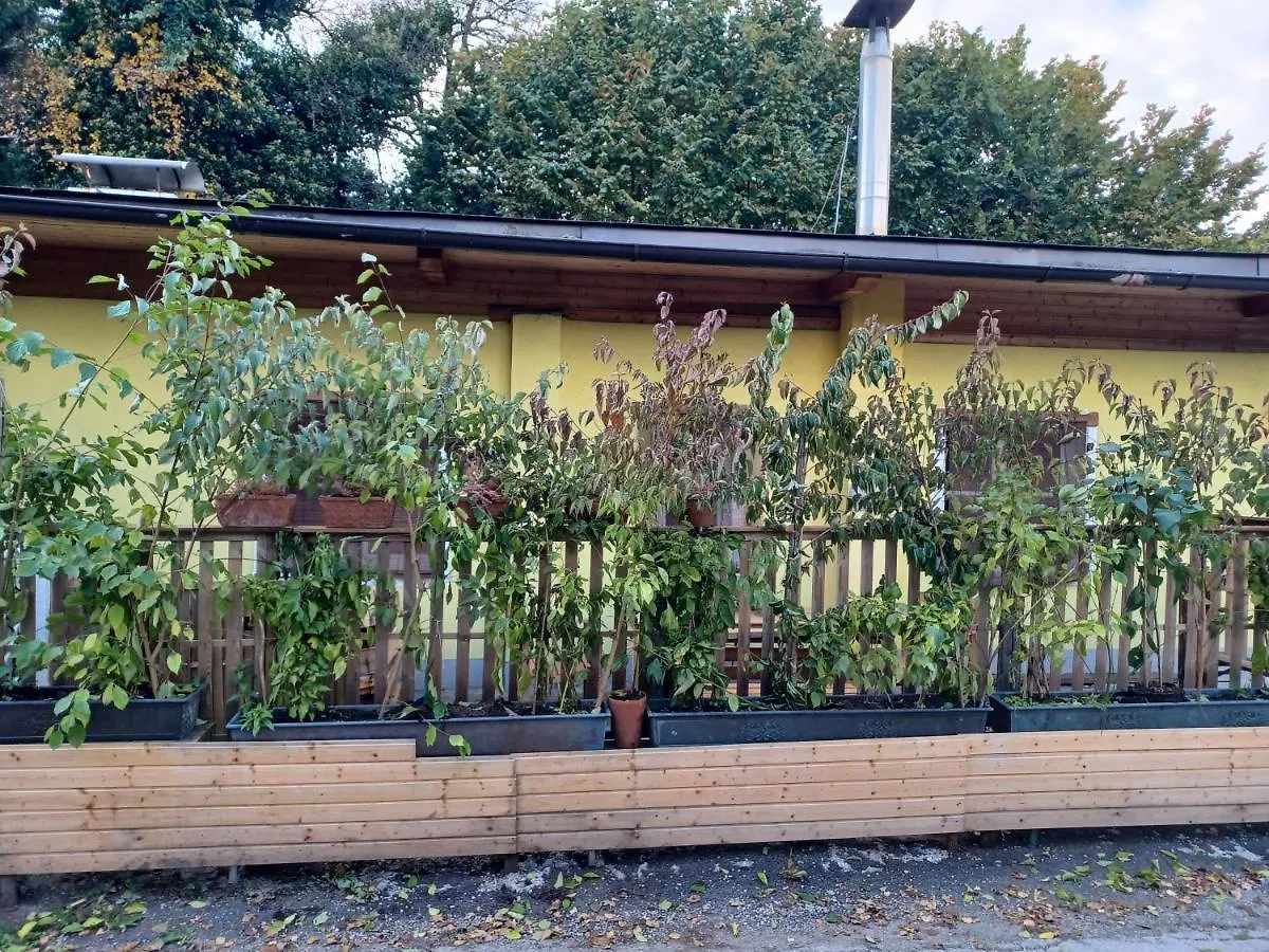 Vila Binderhaeusl Solnohrad